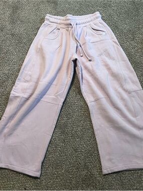Urban Outfitters Lavender Wide Leg barrel Sweatpants M